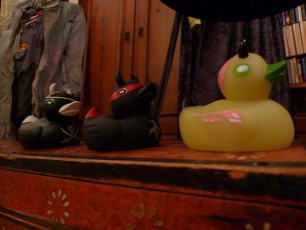 Pirate (squeak) Ninja (squeak) Zombie (squeak)!